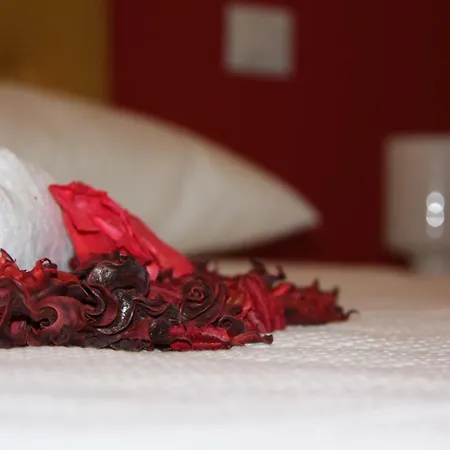 Gæstehus New Bcomfort